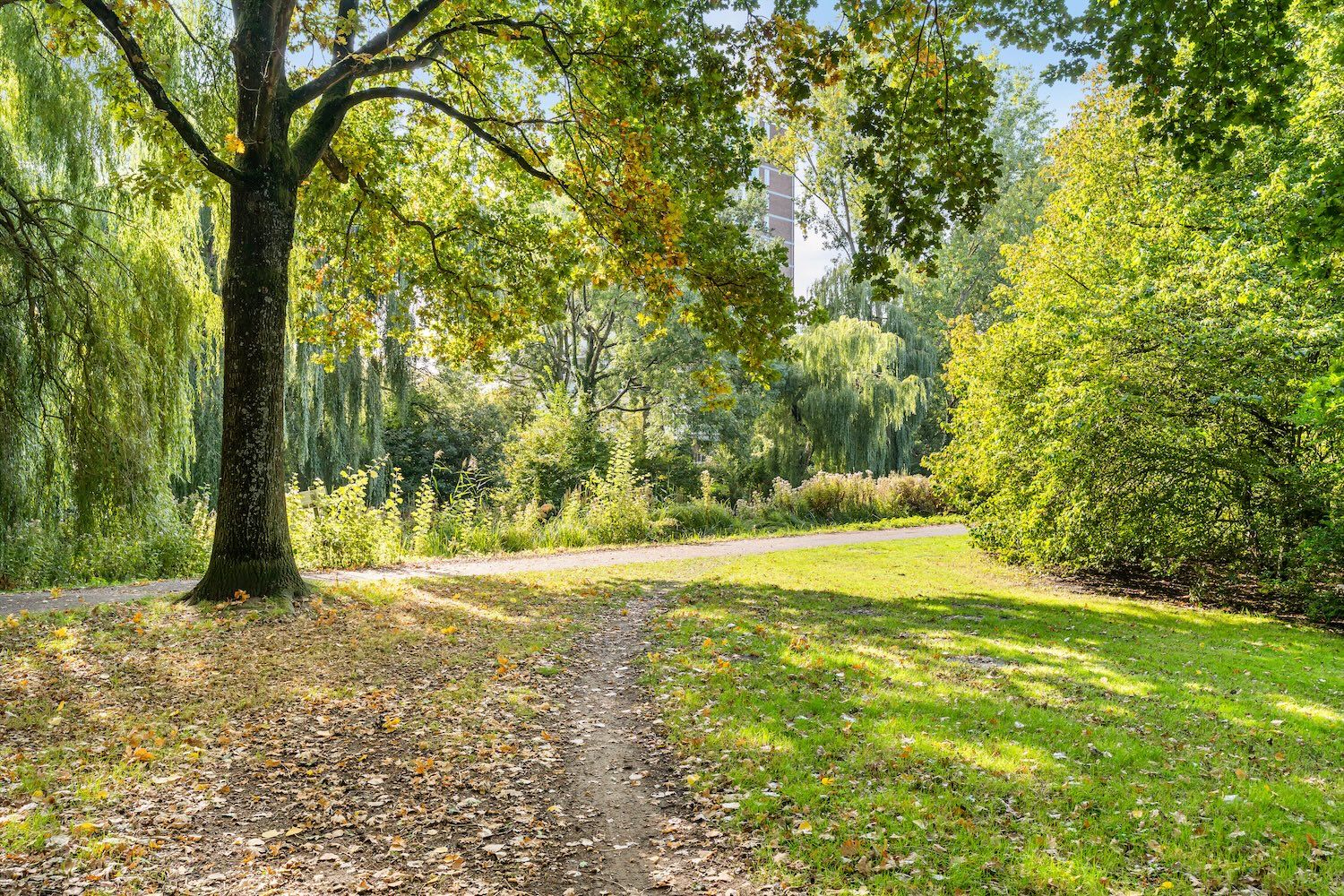 Foto 33 van Cannenburg 3