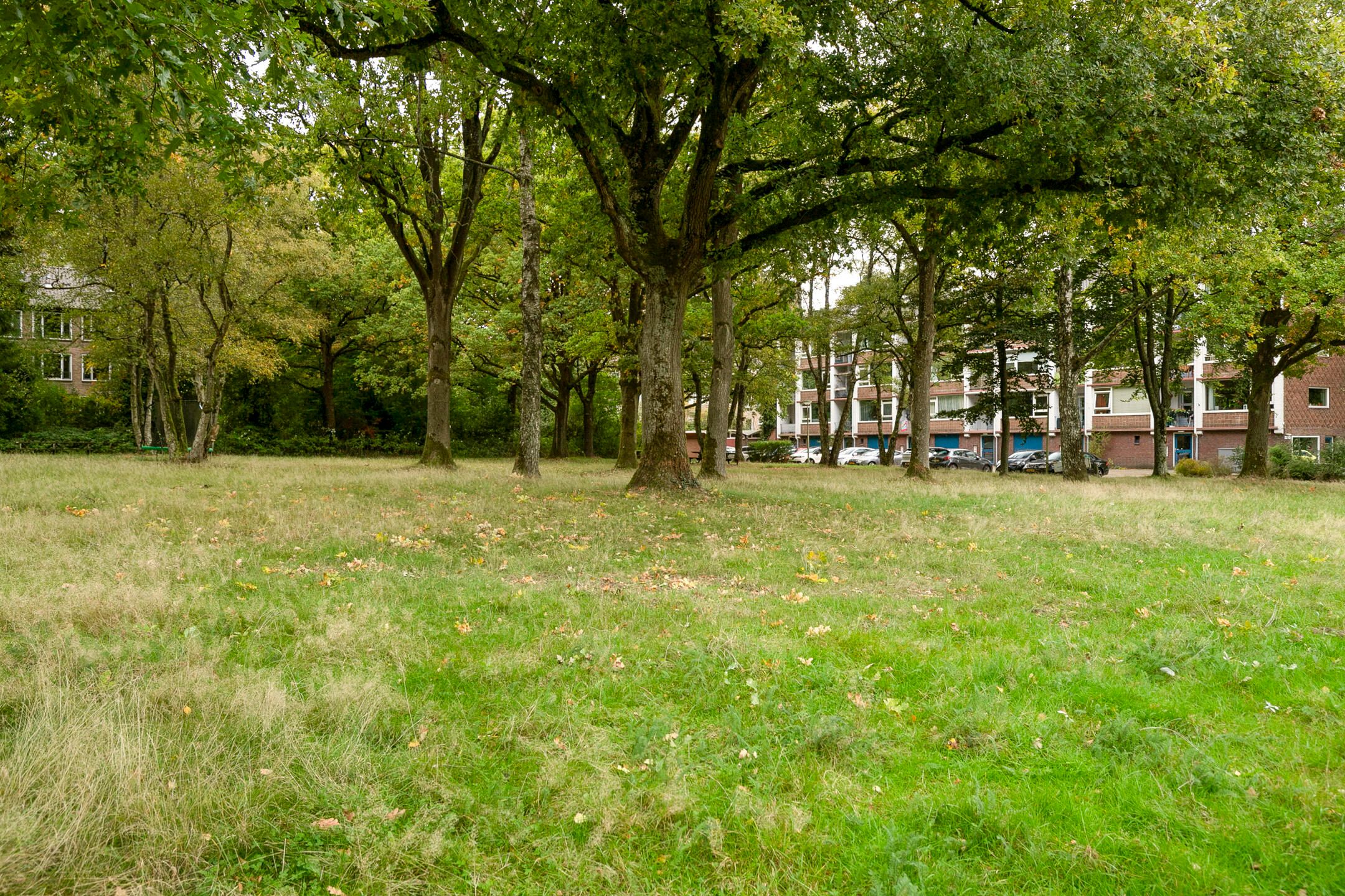 Foto 42 van Ceramstraat 12