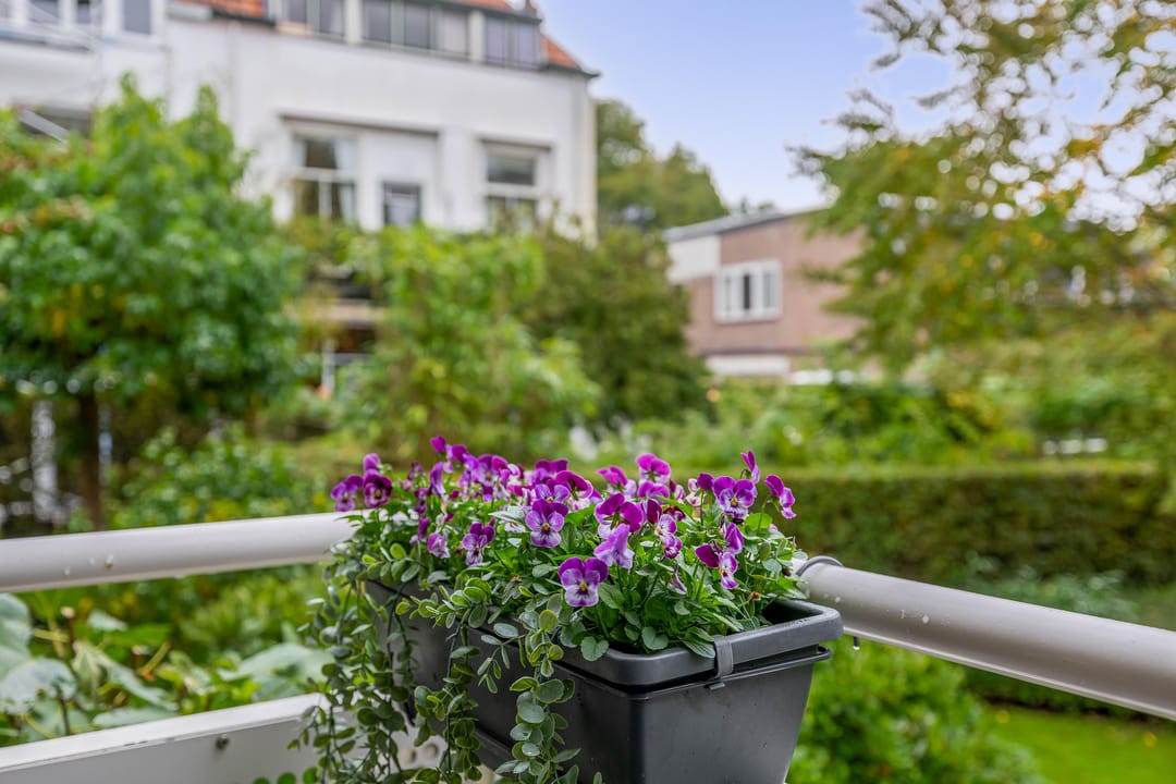 Foto 31 van Generaal Foulkesweg 34-B