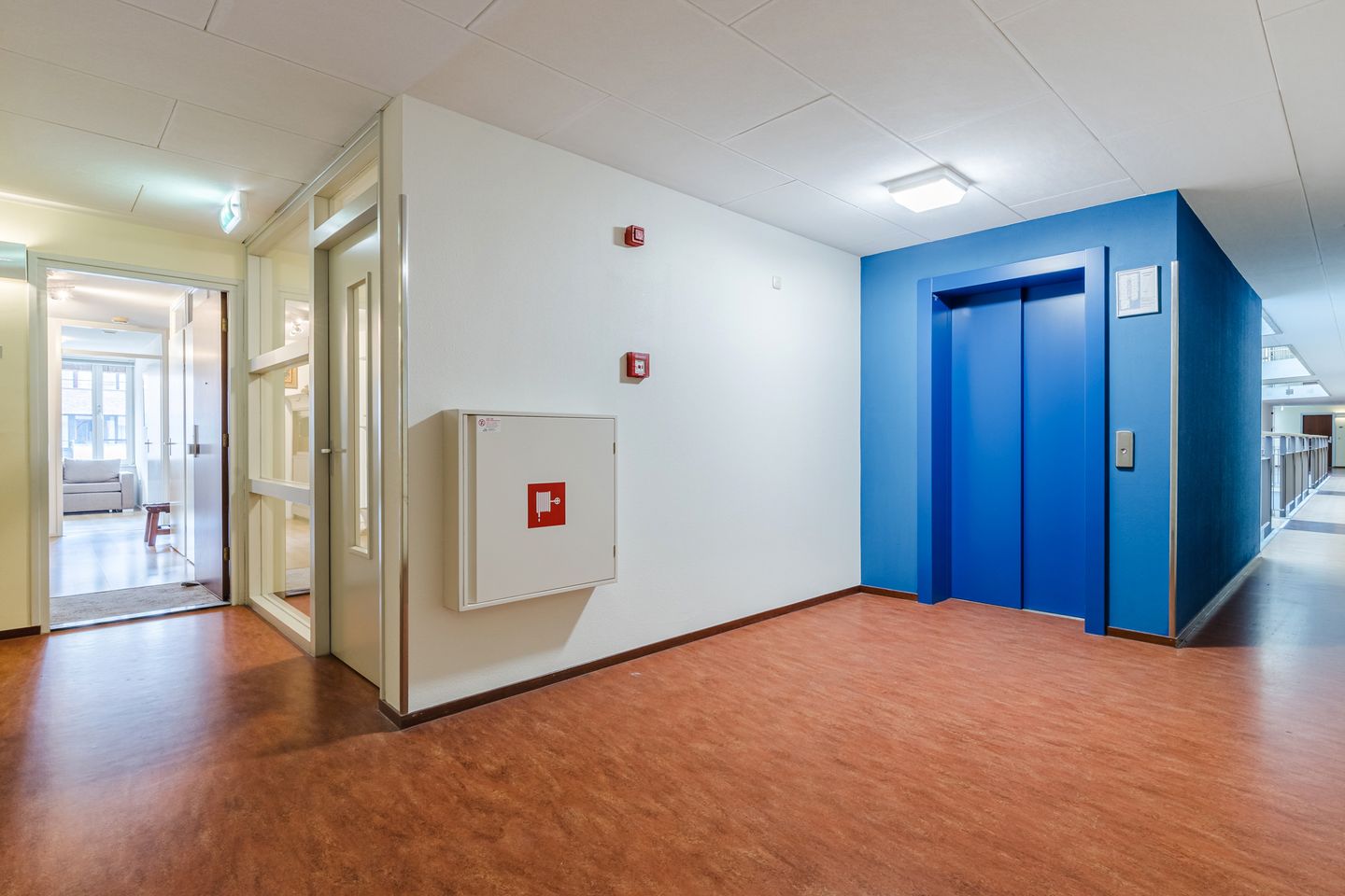 Foto 5 van Lichtstraat 289