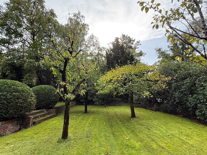 Foto 5 van Schuttersweg 50