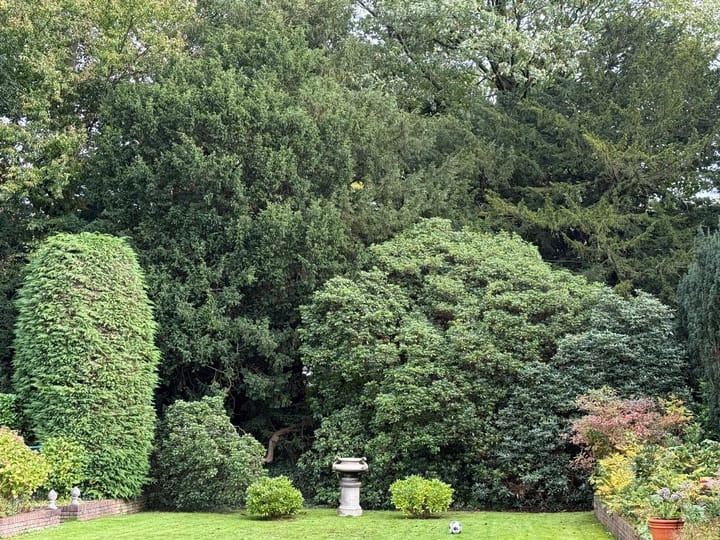 Foto 8 van Schuttersweg 50