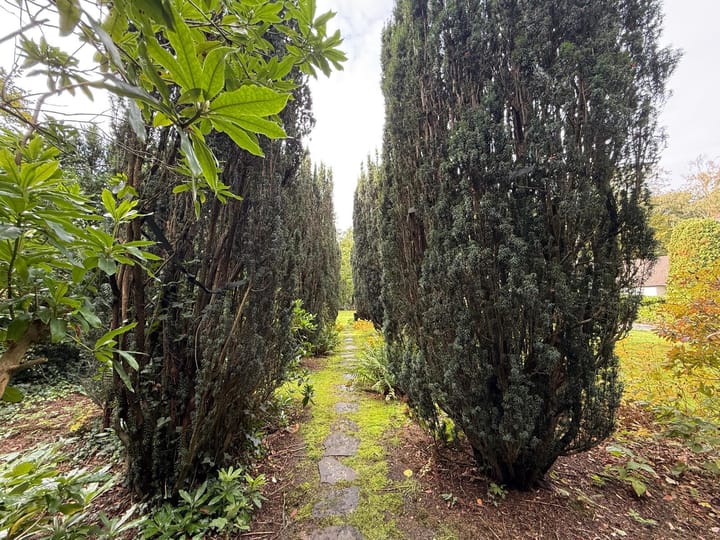 Foto 50 van Schuttersweg 50