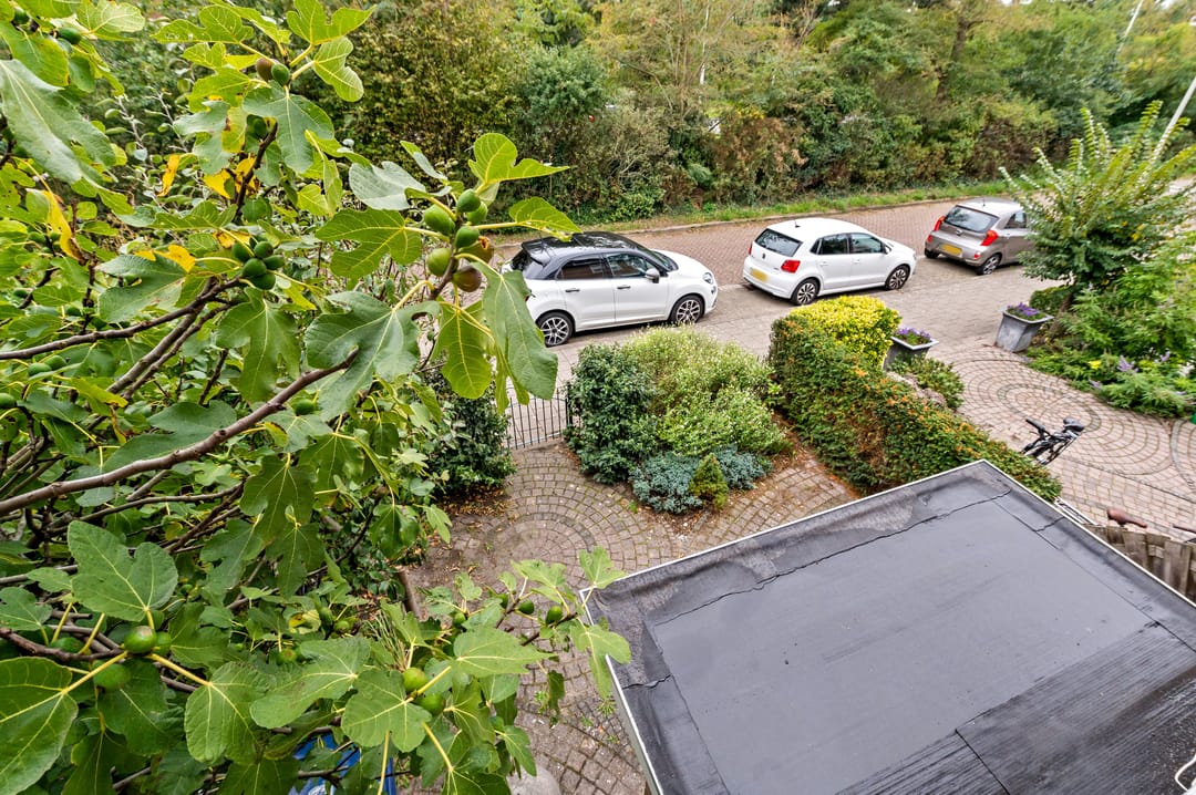 Foto 43 van Zandzeggelaan 23