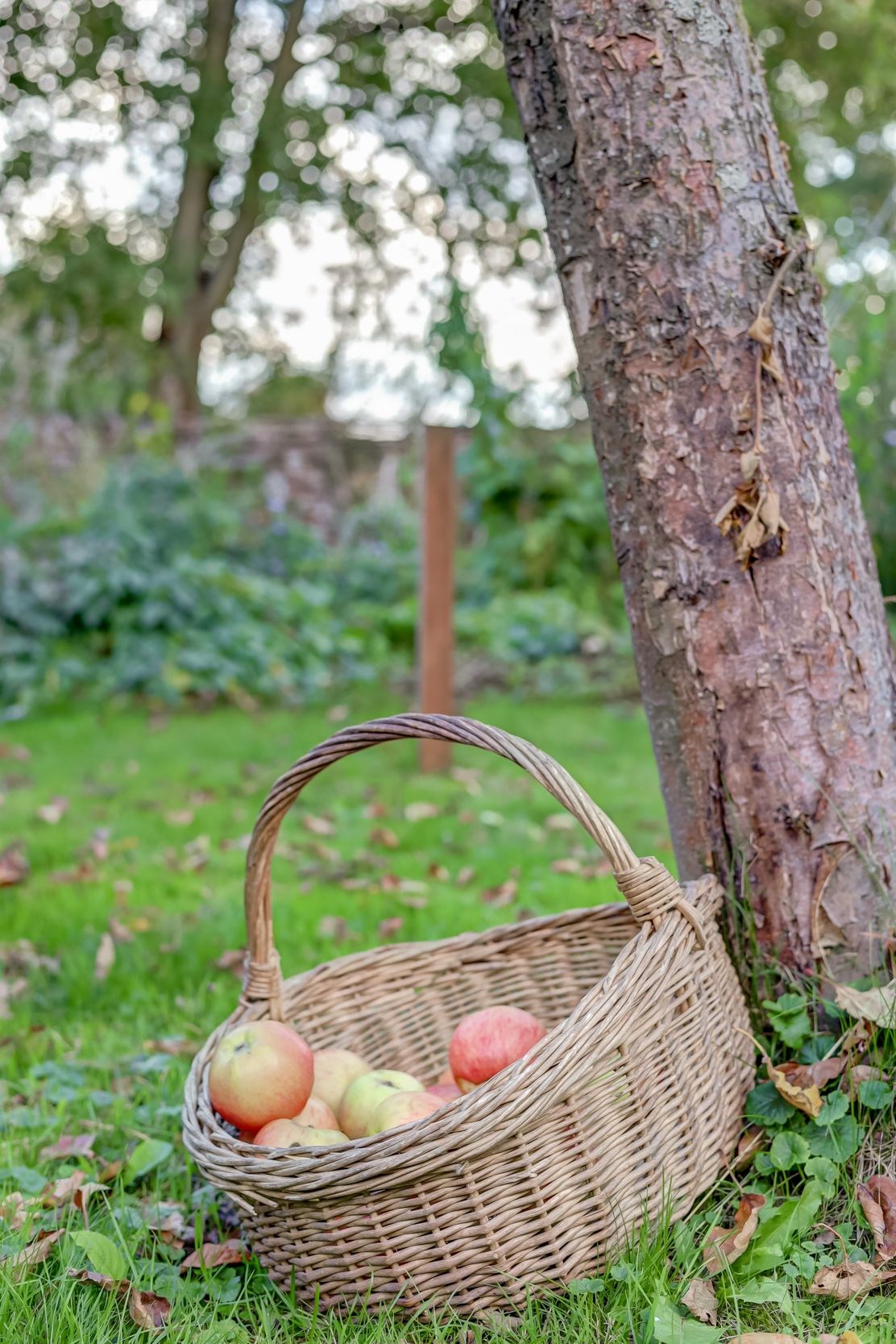 Foto 54 van Rijksstraatweg 93