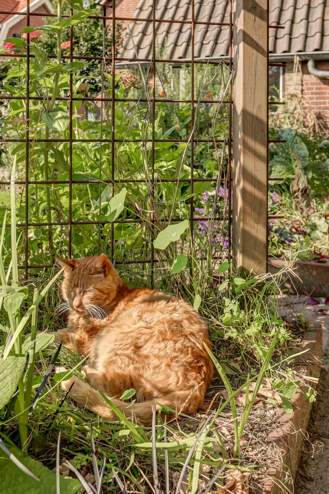 Foto 56 van Rijksstraatweg 93