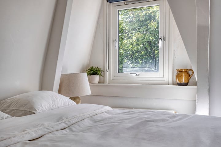 Foto 23 van Linnaeusstraat 19-3