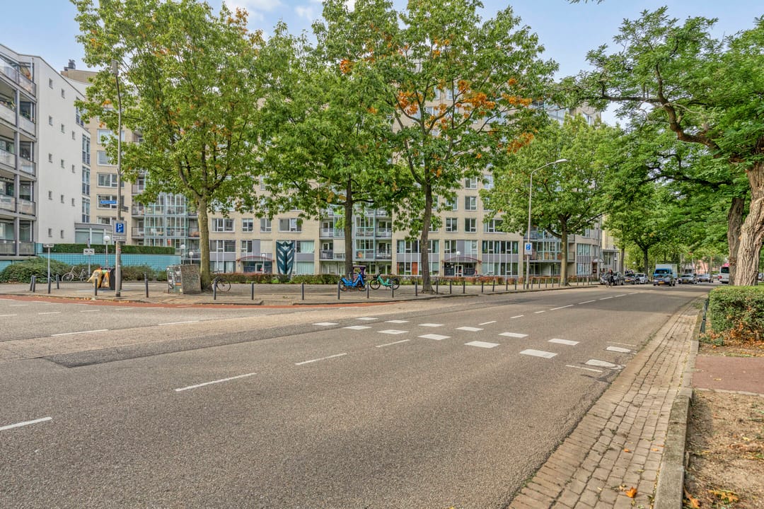 Foto 32 van Kronenburgersingel 249-B