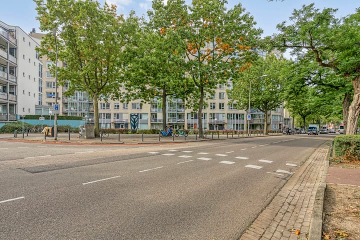 Foto 32 van Kronenburgersingel 249-B