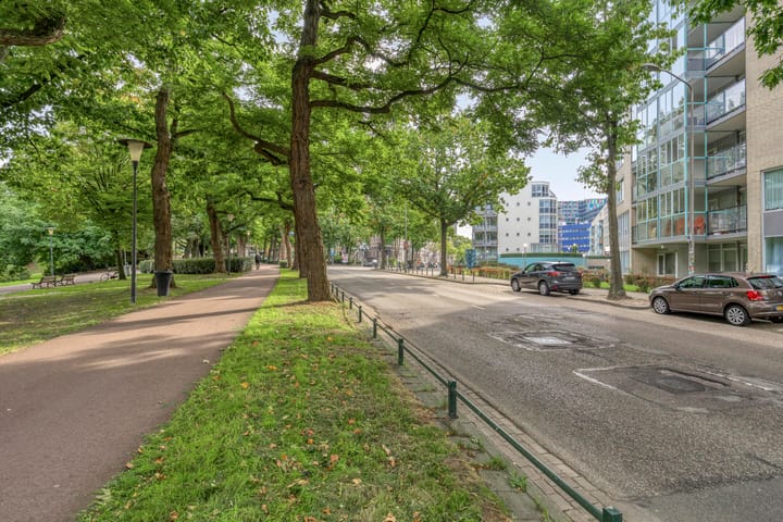 Foto 33 van Kronenburgersingel 249-B