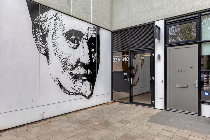 Foto 13 van Adriaan van Bergenstraat 242