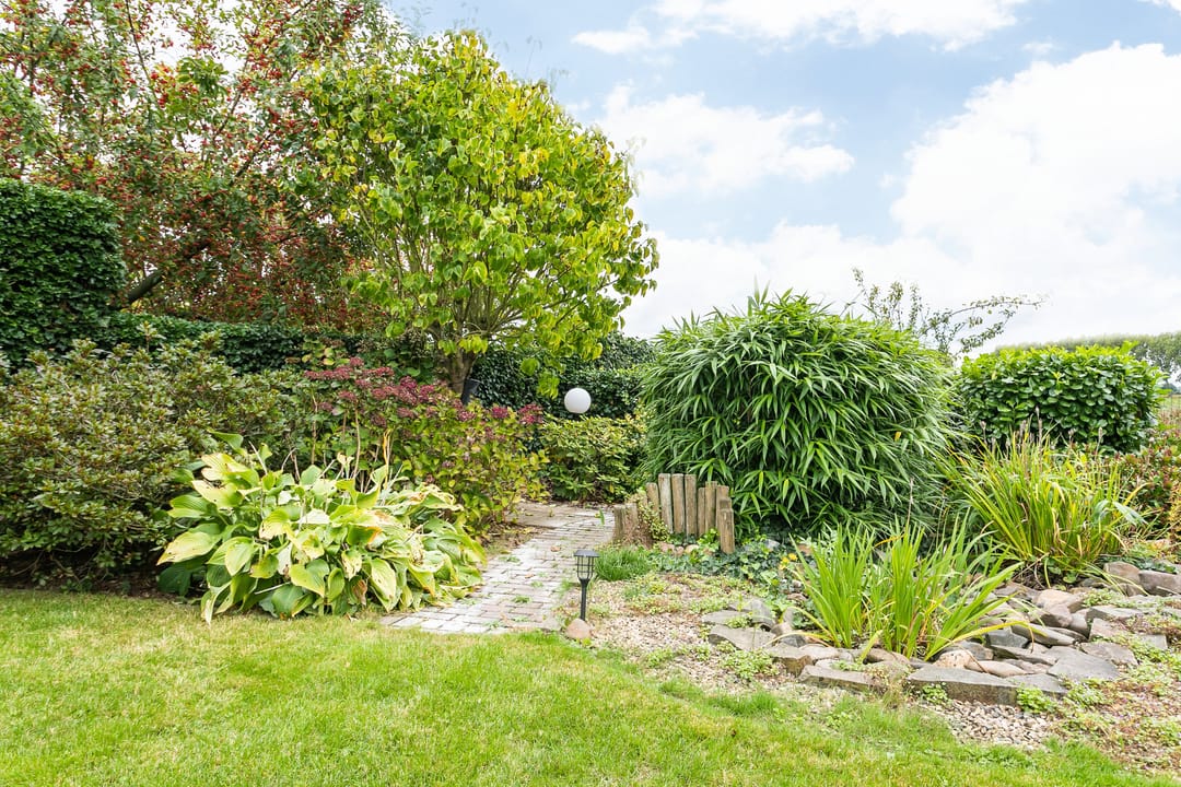 Photo 32 of Maarweg 21