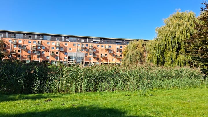 Foto 29 van Louis Davidsstraat 266