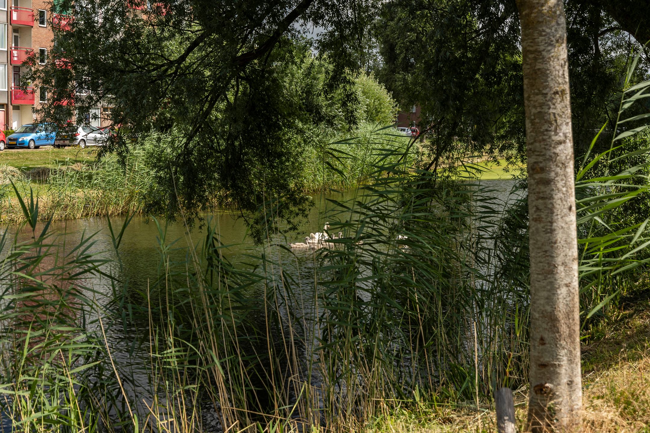 Foto 30 van Kwekerijpad 28