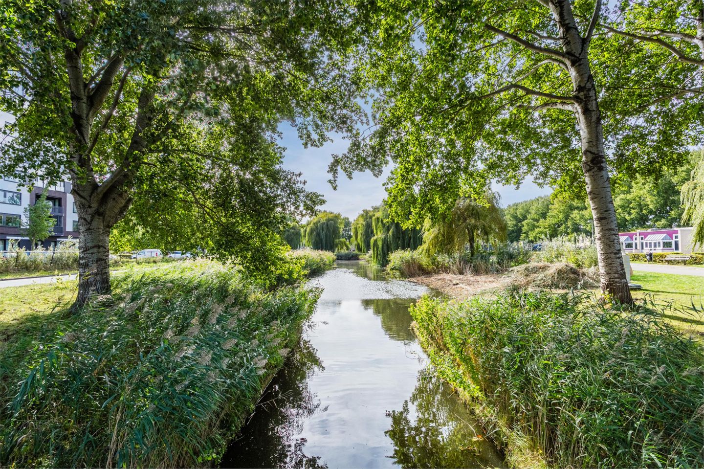 Foto 50 van H.J.A. Hovens Grevestraat 2