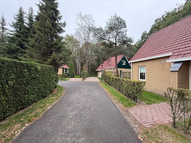 Photo 20 of Westelbeersedijk 6-R92