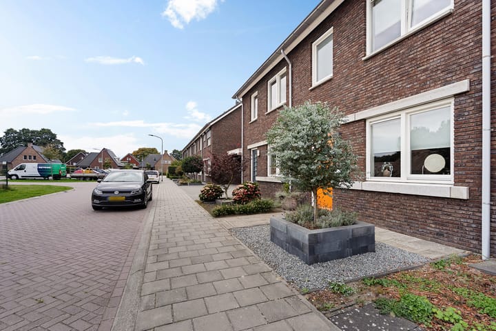 Foto 4 van Steenbok 15