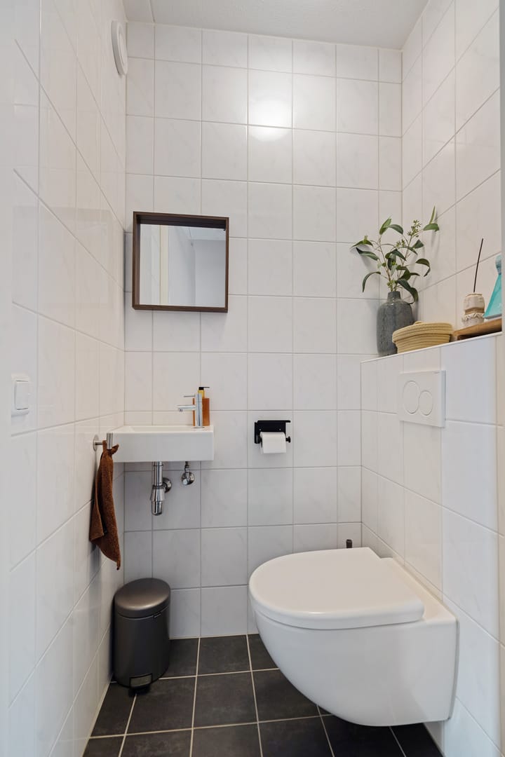 Foto 15 van Steenbok 15