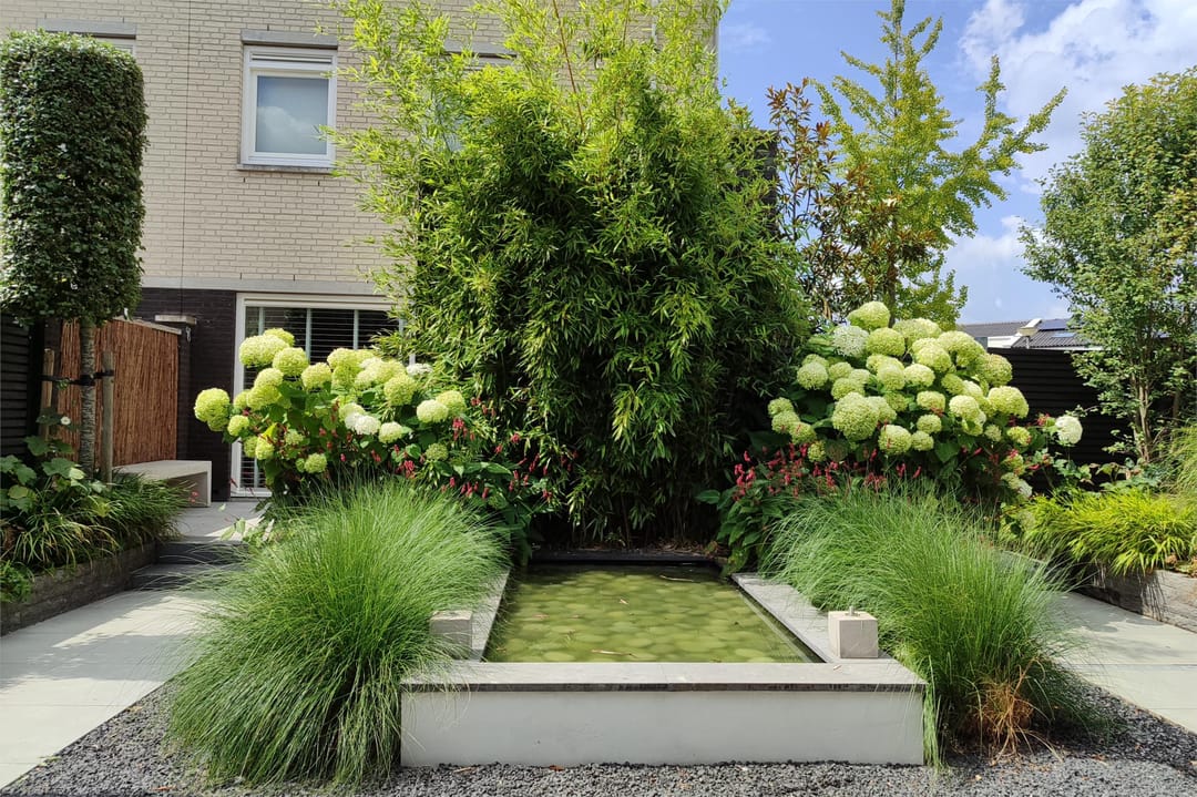 Foto 61 van Schepenenstraat 5