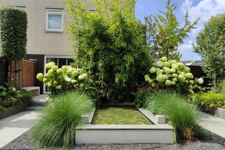 Foto 61 van Schepenenstraat 5