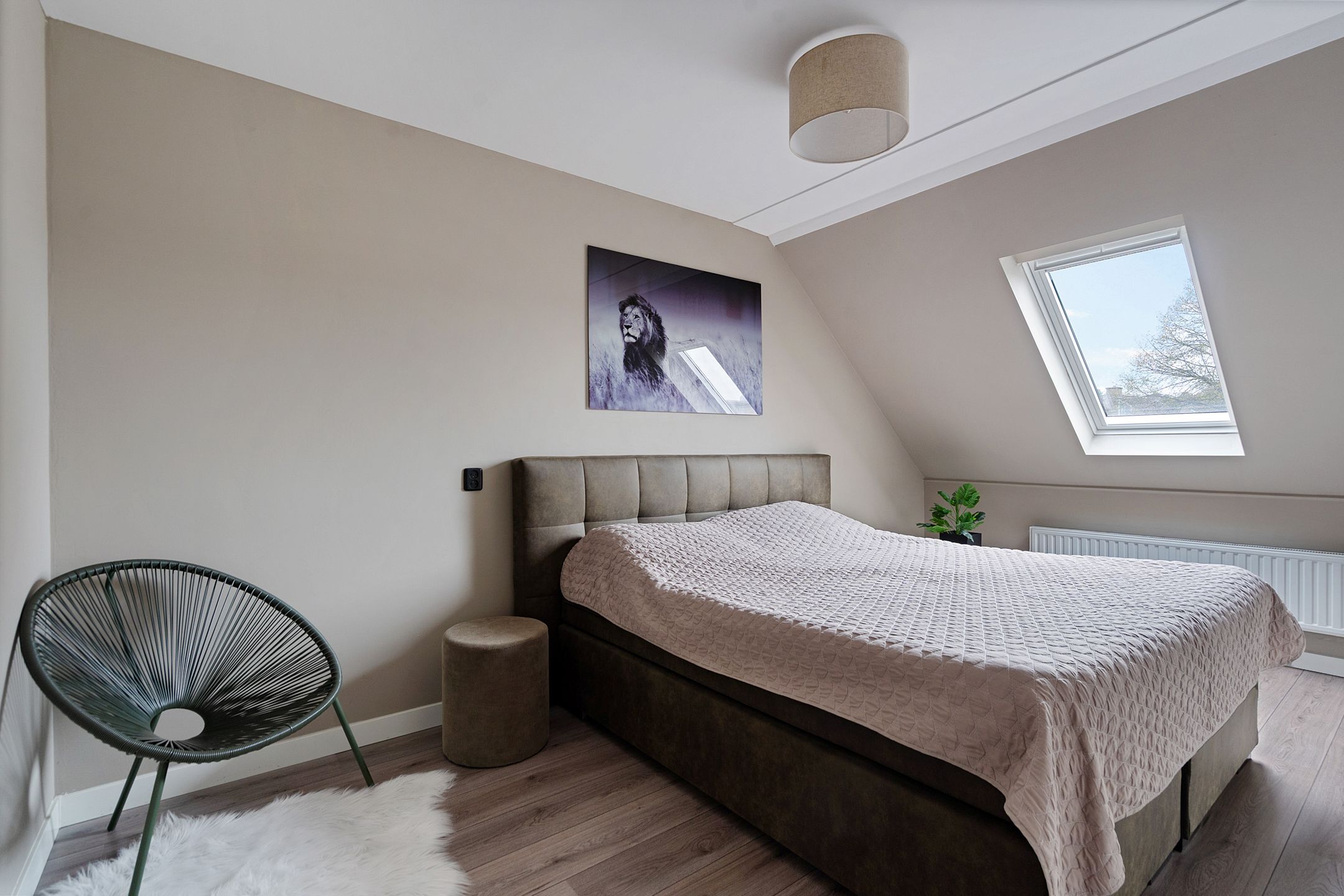 Foto 21 van Hondsdraf 34