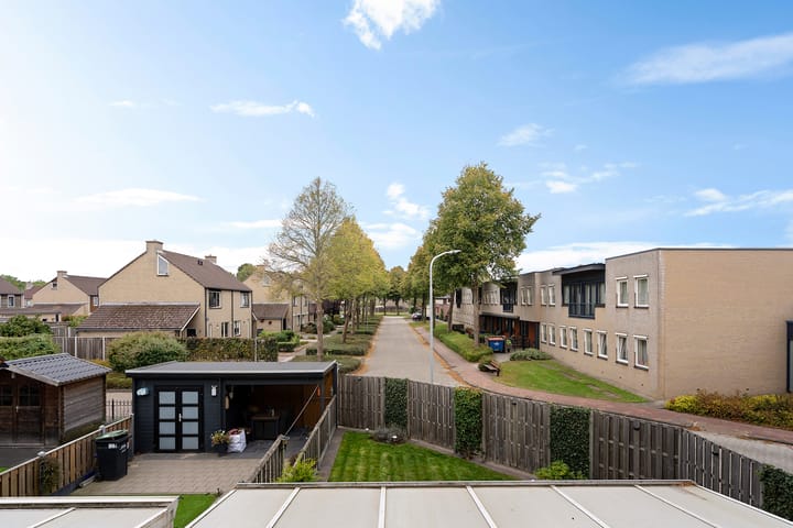 Photo 23 of Hondsdraf 34