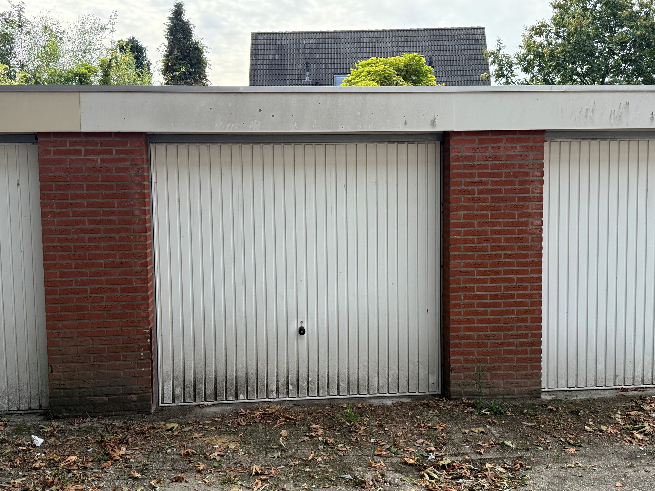 Dijkgraafseweg, 50, G01, Wageningen, 6707EM, Gelderland, Nederland 50