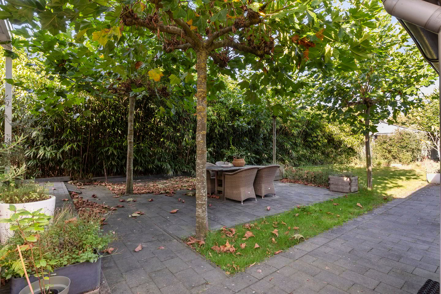 Foto 25 van Deventerstraat 213