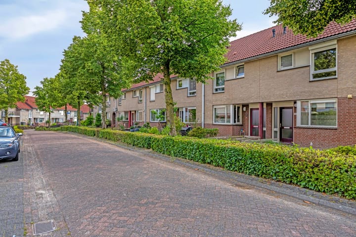 Foto 27 van Dieze 11