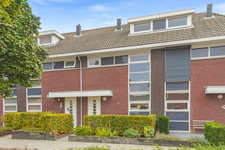 undefined main image