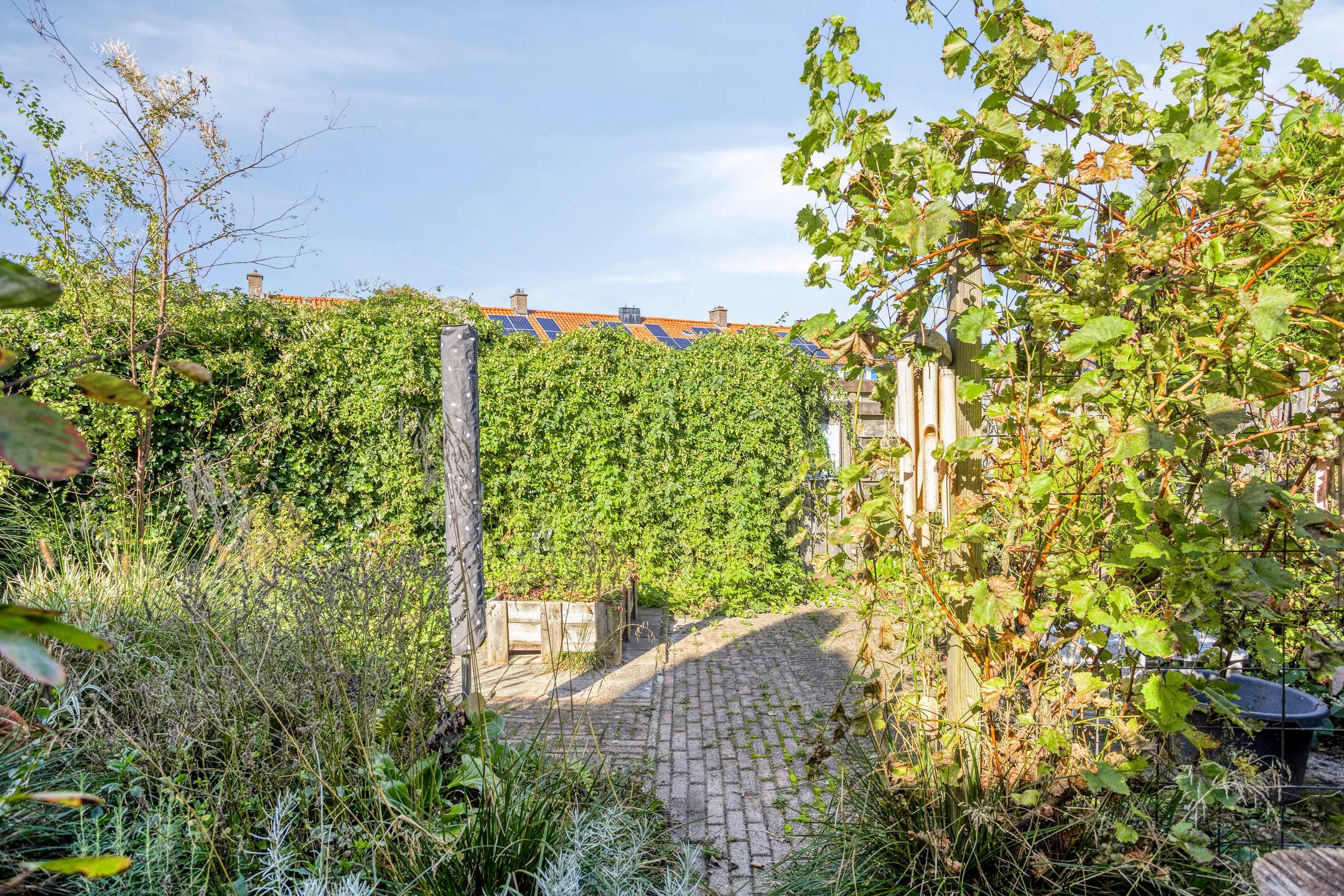 Foto 30 van Westrupstraat 22