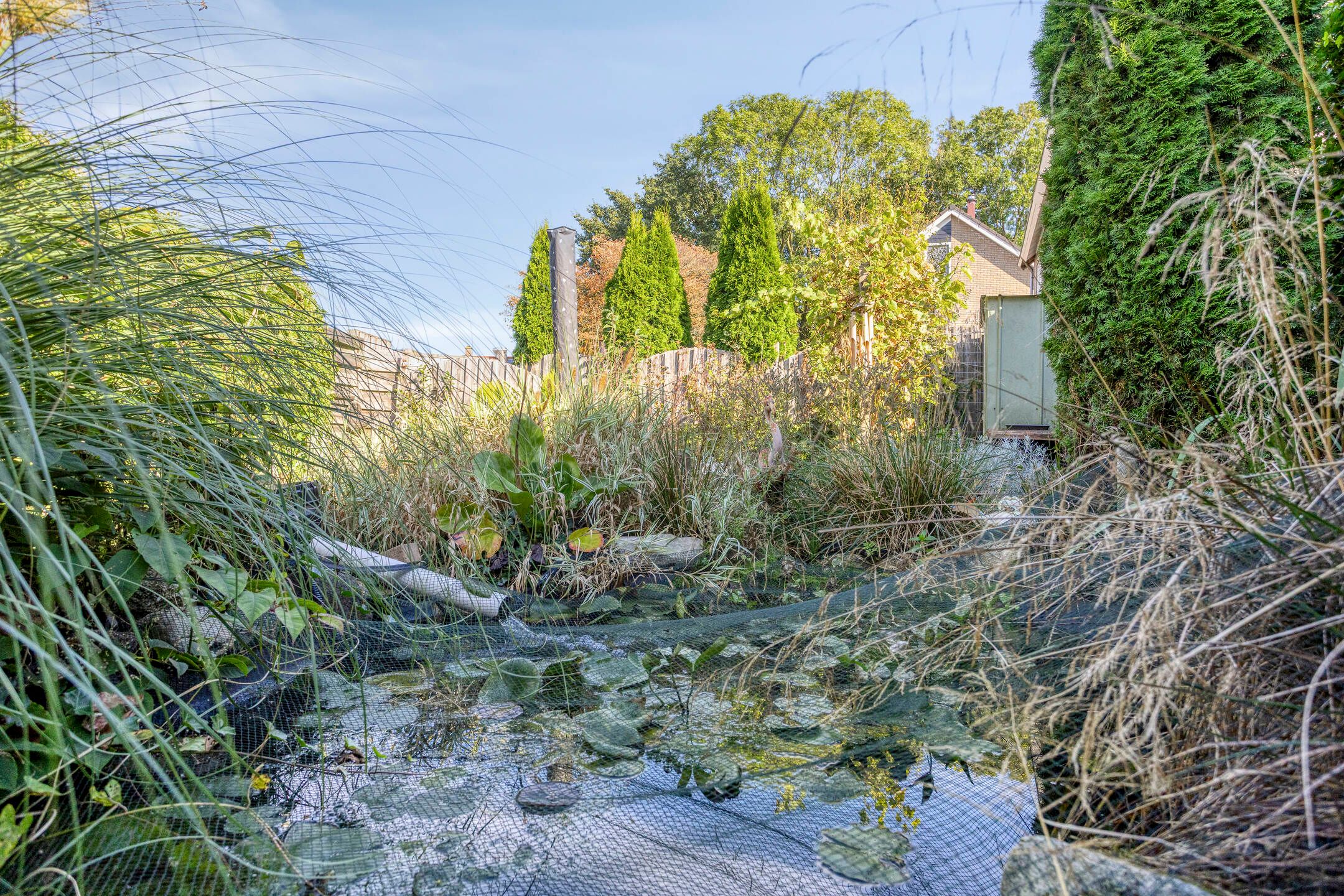 Foto 33 van Westrupstraat 22