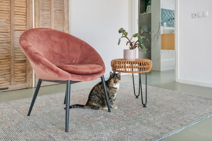 Foto 76 van Waalbandijk 2-B