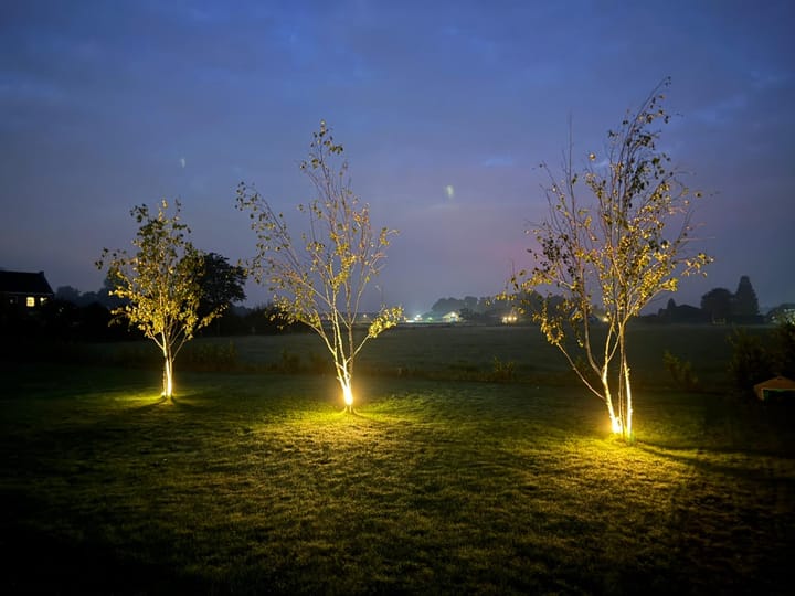 Foto 123 van Waalbandijk 2-B