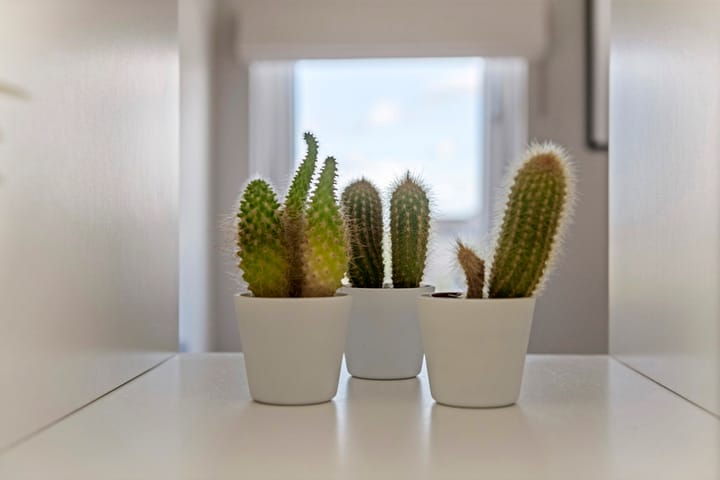 Foto 81 van Arsenaal 62