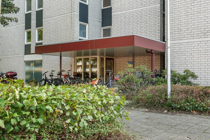 Foto 3 van Straussplein 45