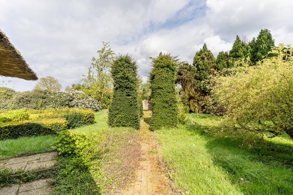 Foto 10 van Paardelanden 14