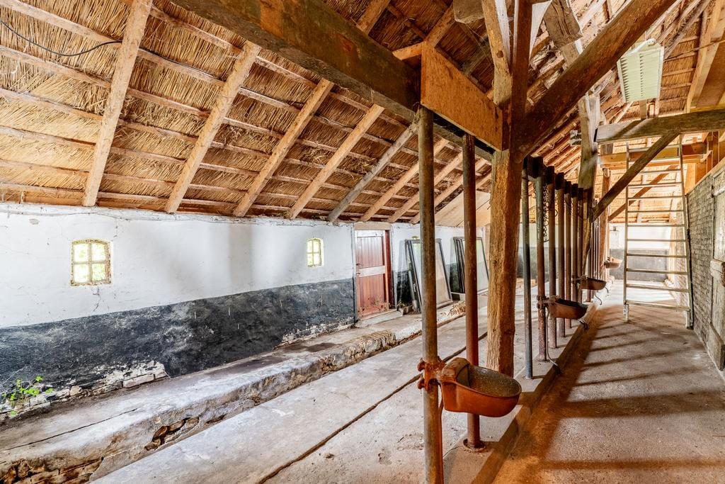 Foto 26 van Paardelanden 14