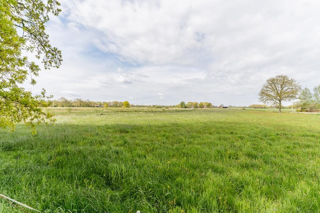 Foto 35 van Paardelanden 14