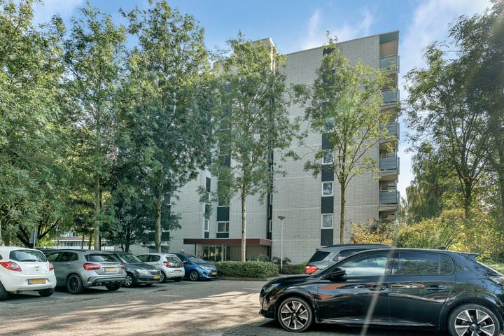 Foto 24 van Straussplein 45