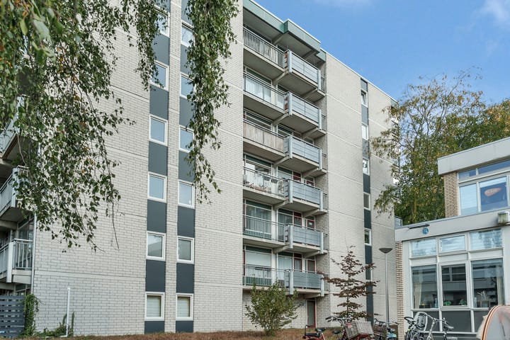 Foto 27 van Straussplein 45