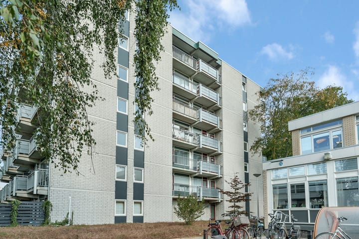 Foto 30 van Straussplein 45