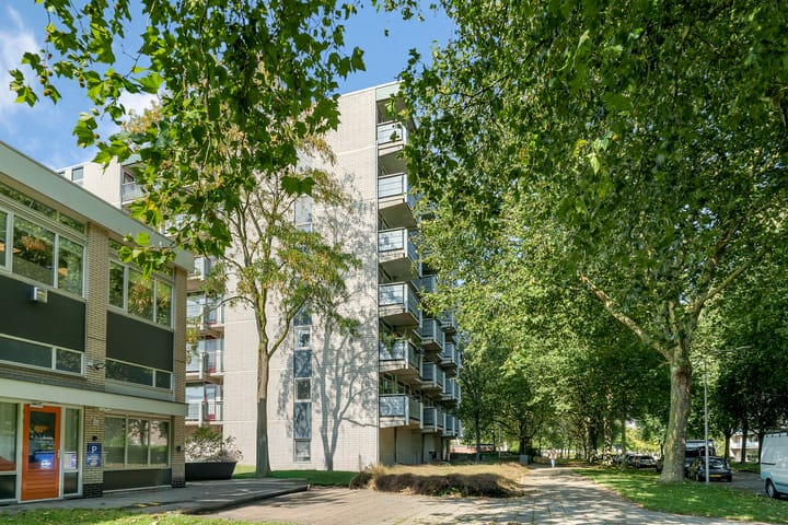 Foto 32 van Straussplein 45