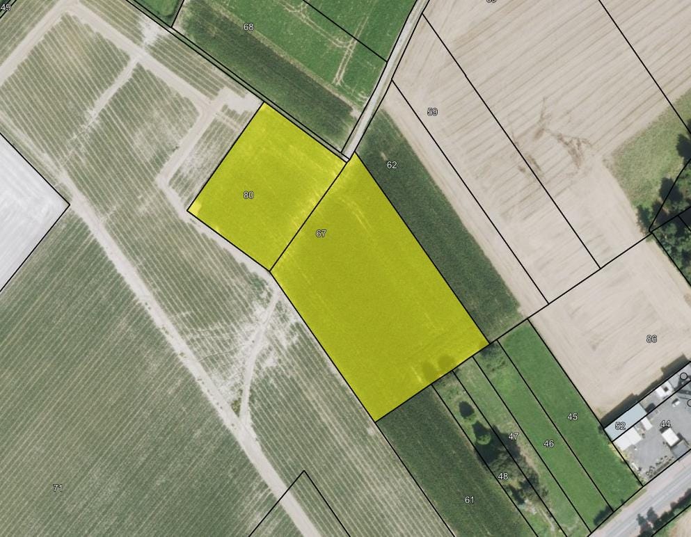 Bekijk foto 1 van Lange Reinweg