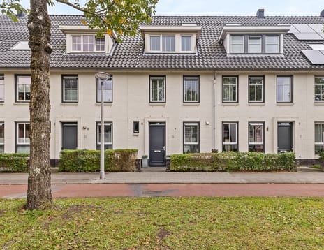 Jane Addamslaan thumbnail