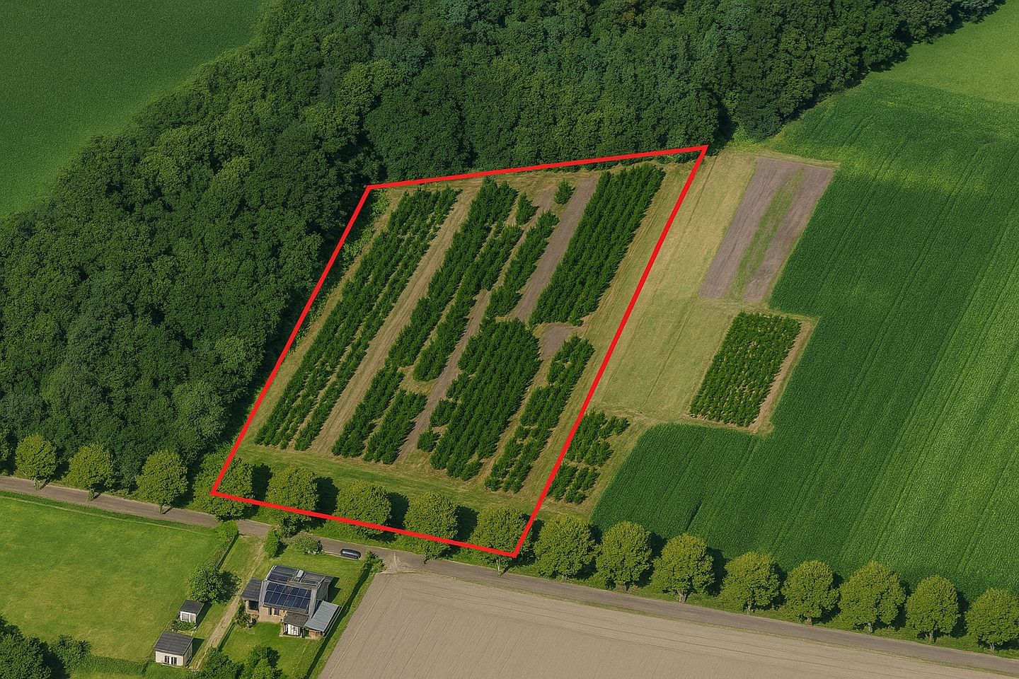 View photo 1 of St. Jorisstraat