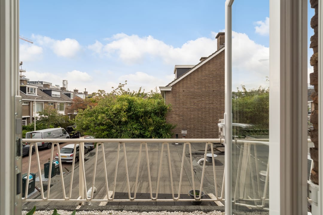 Foto 22 van Theresiastraat 113-A