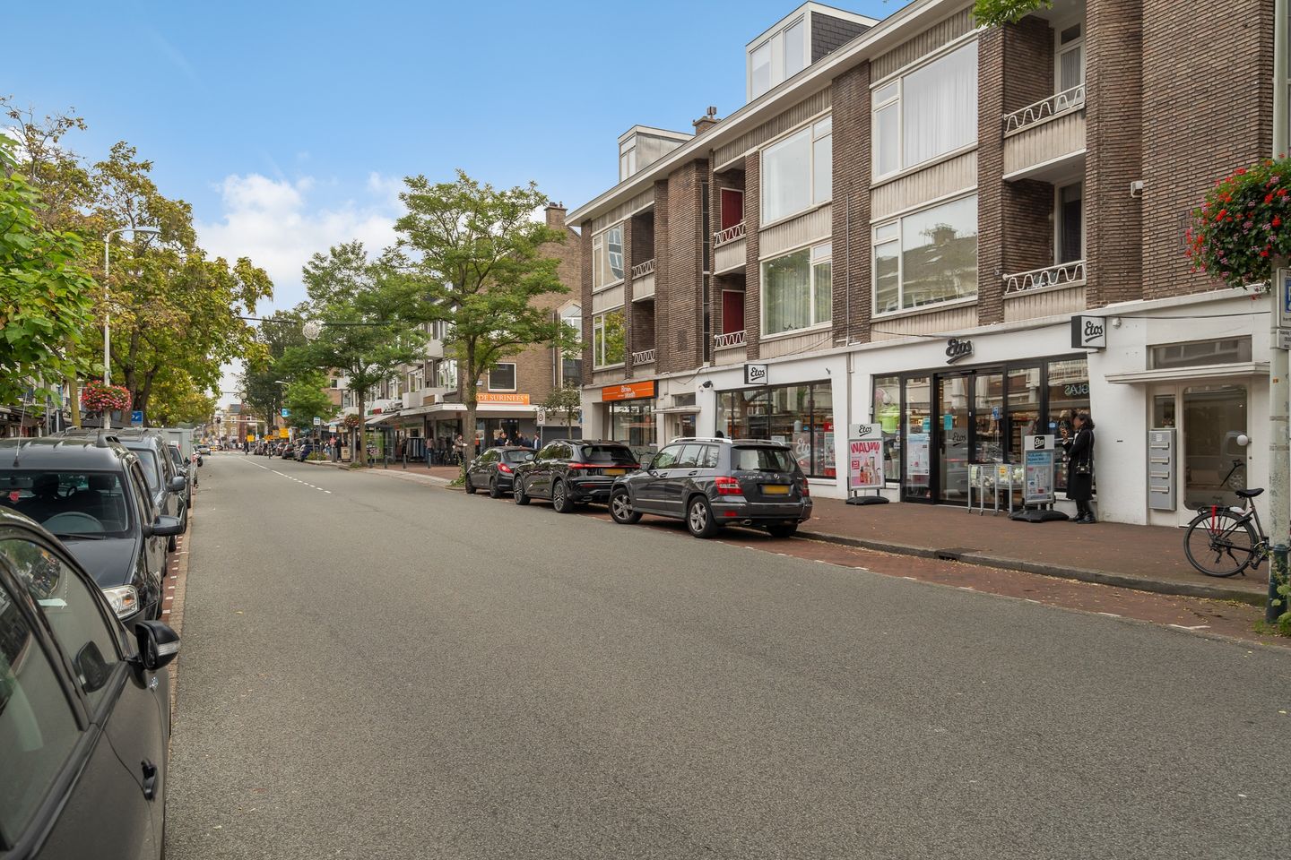 Foto 29 van Theresiastraat 113-A