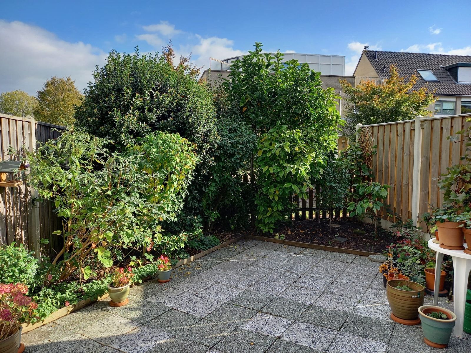 Foto 9 van Andreas Schelfhoutrade 69