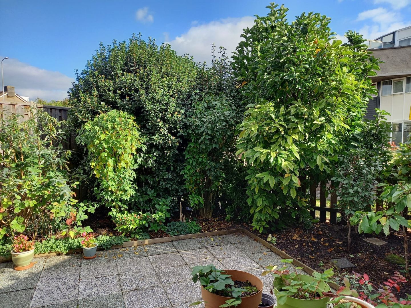 Foto 10 van Andreas Schelfhoutrade 69